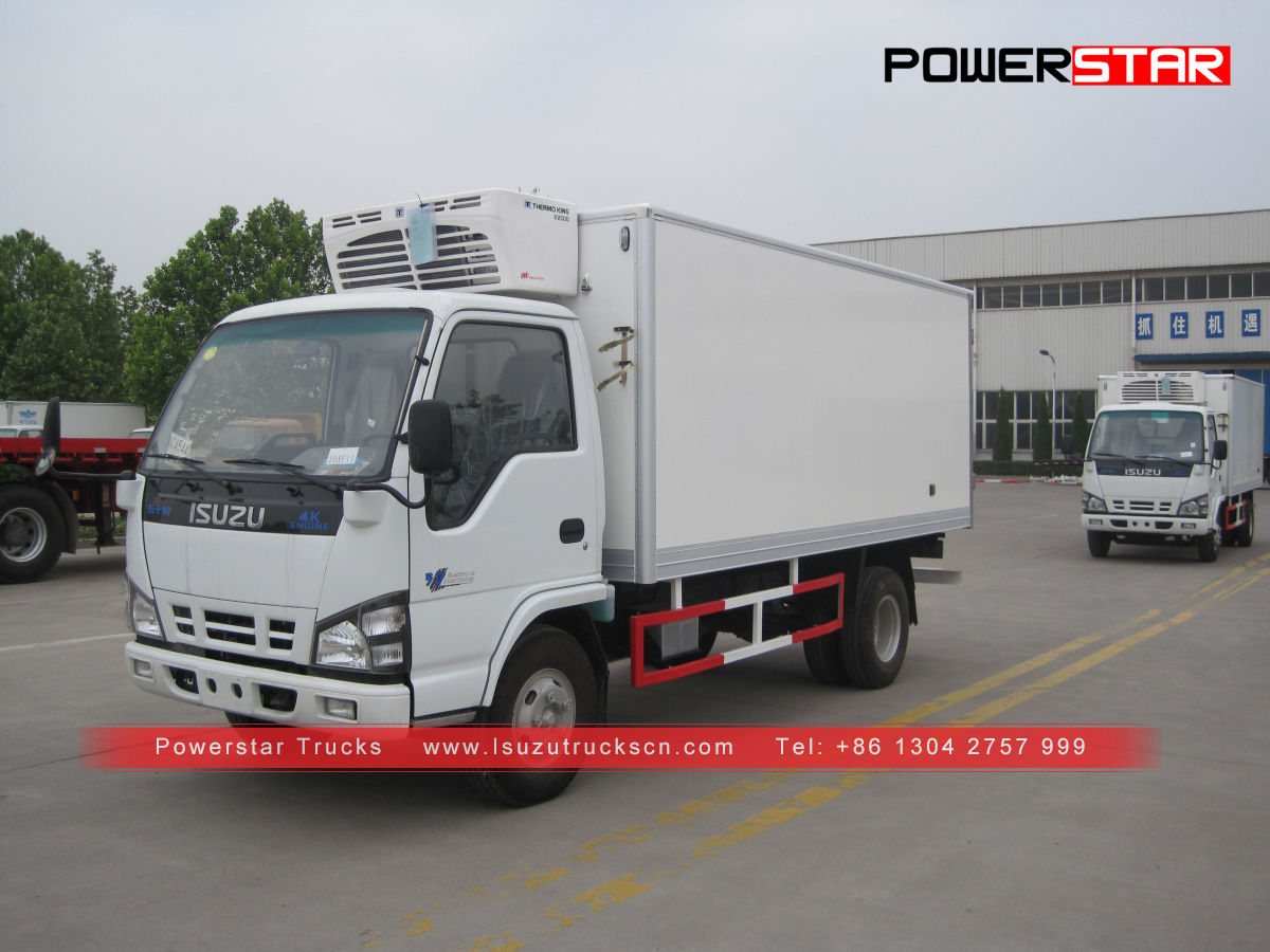 Il cliente cileno ha realizzato Frozen van ISUZU NKR Reefer Trucks