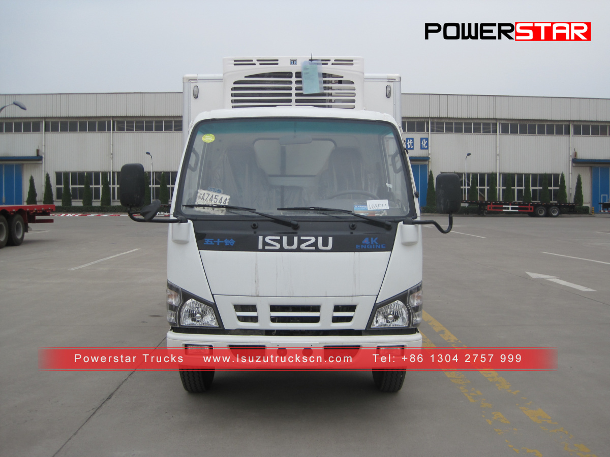 Il cliente cileno ha realizzato Frozen van ISUZU NKR Reefer Trucks