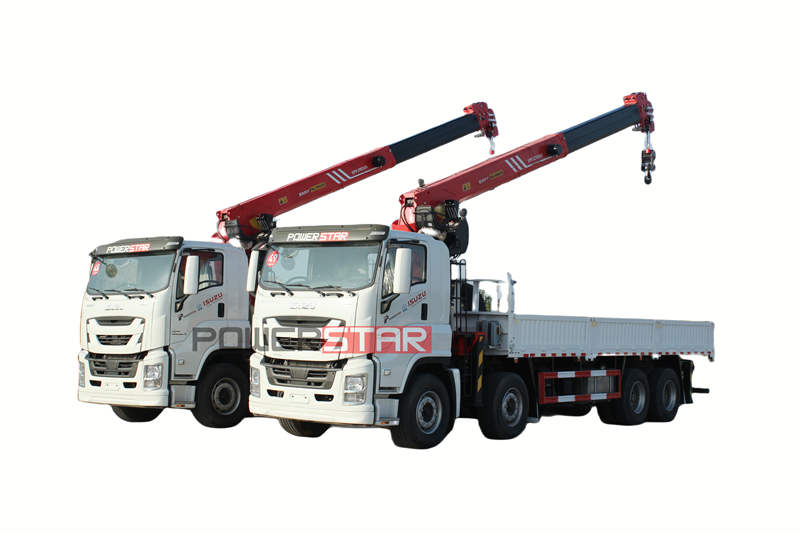 Camion Isuzu con gru Palfinger