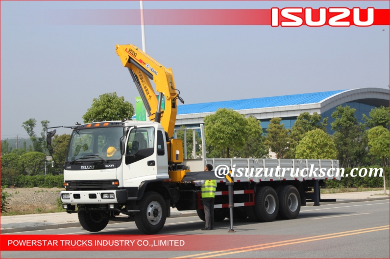 Ghana custom made 10 ton telescopic boom truck mounted crane for sale