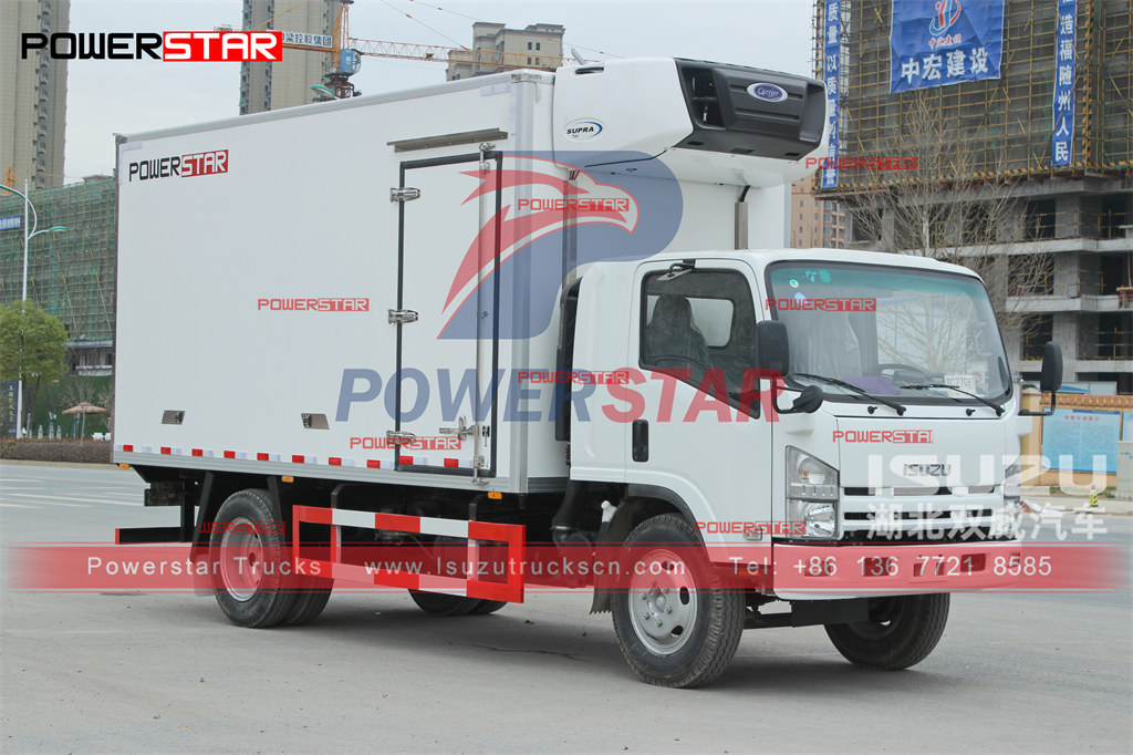 Camion congelatore ISUZU ELF da 8-10 tonnellate con unità CARRIER esportata nelle Filippine
    