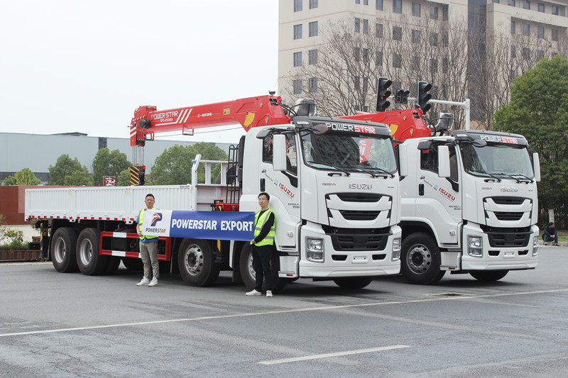 Myanmar - 2 unità ISUZU GIGA Palfinger autogru con gru
    