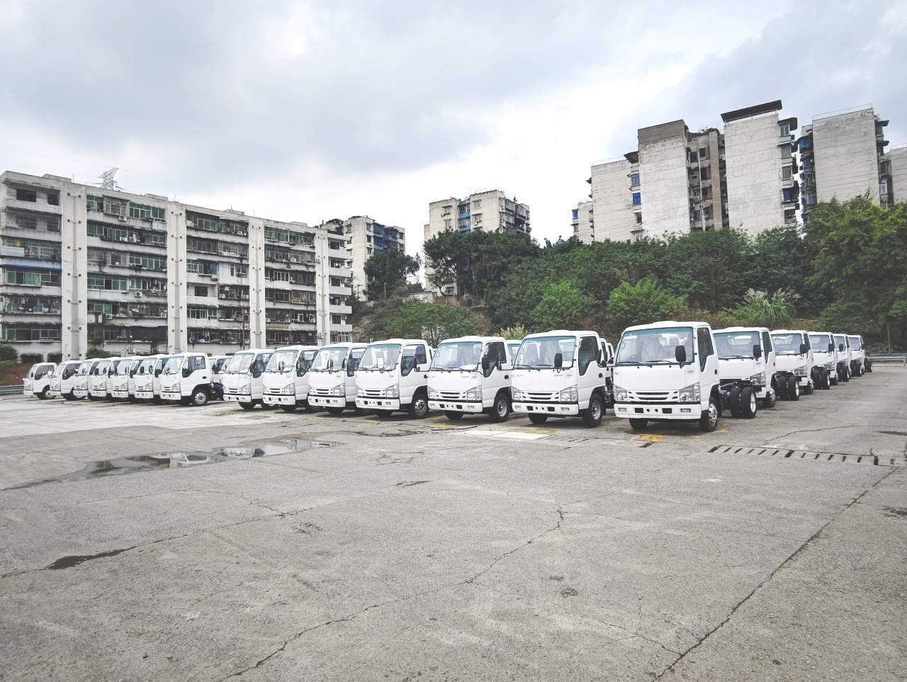 100 unità di camion telaio Isuzu ELF 100p a 6 ruote con cabina in stock