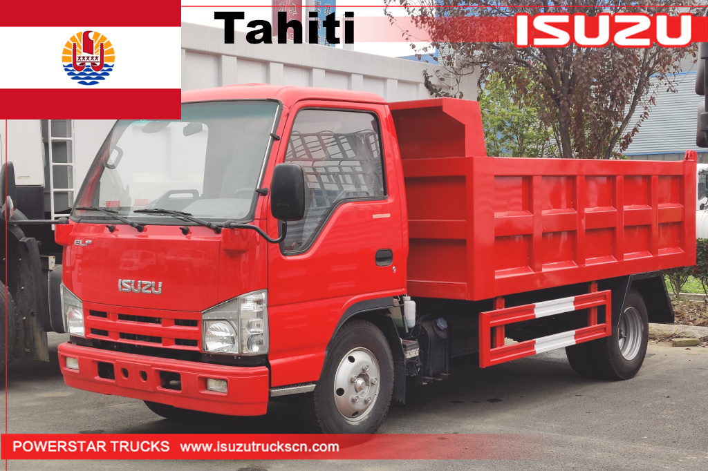 Tahiti - 1 unità ISUZU mini elf autocarro con cassone ribaltabile
    