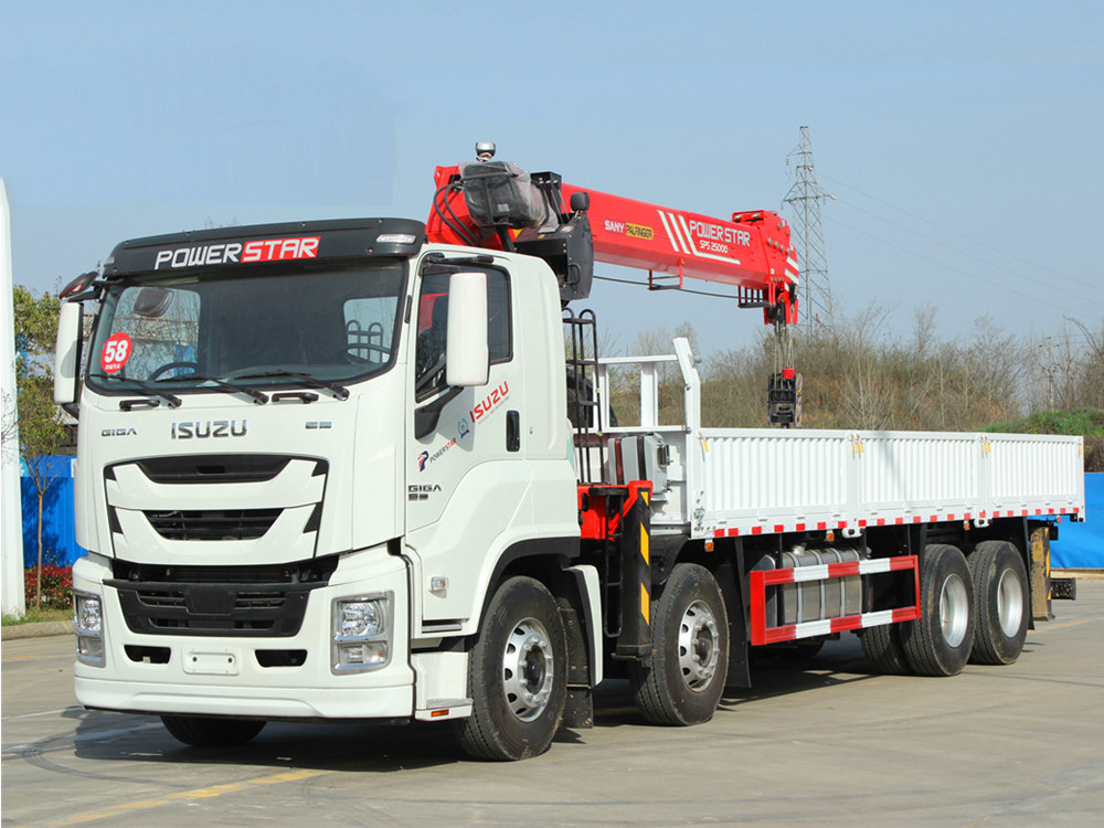 Camion della serie con gru a braccio telescopico Isuzu
    