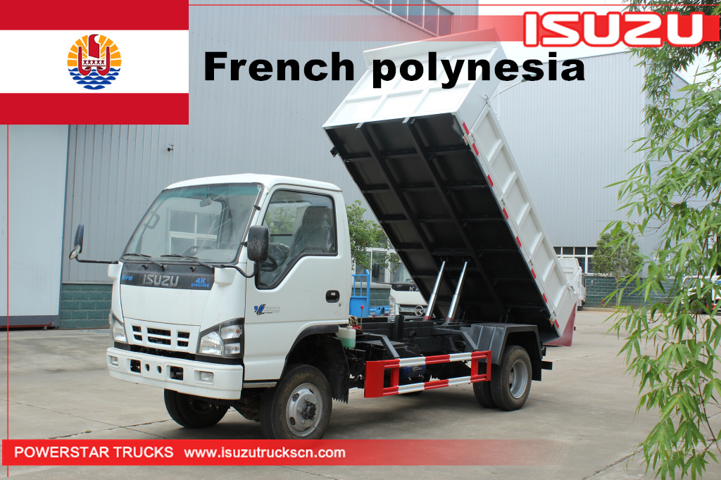 Polinesia francese - 1 unità ISUZU NKR 4*4 autocarro con cassone ribaltabile
    