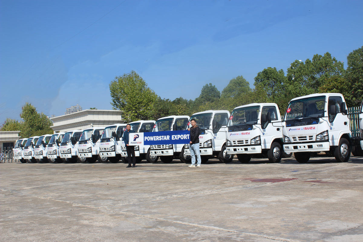 Moldavia 20 unità Isuzu NKR 600P Autocarri con telaio cabina